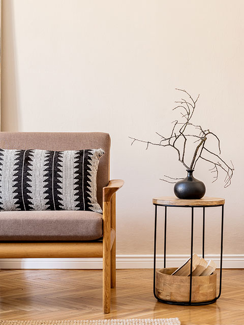 mobilier décoration salon